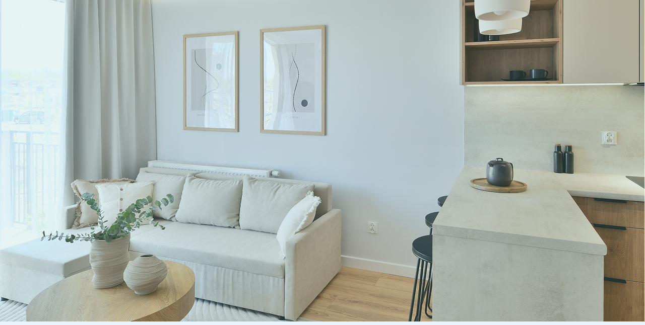 san diego maid & home cleaning services